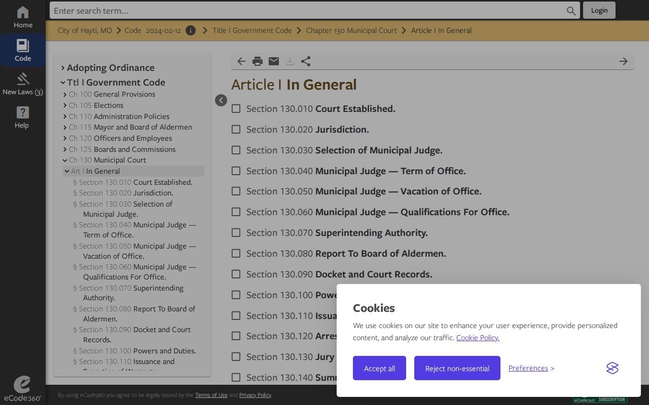 Hayti municipal court and warrant execution code
